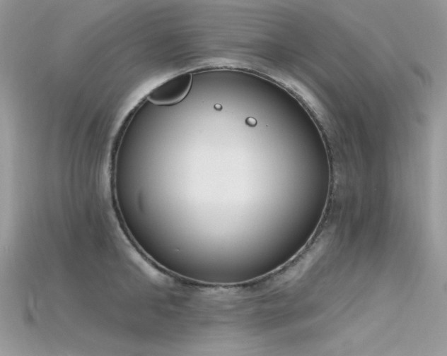 X0000115710902200911121423