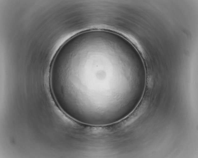 X0000115710903200911121423