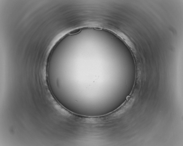 X0000115710904200911121423