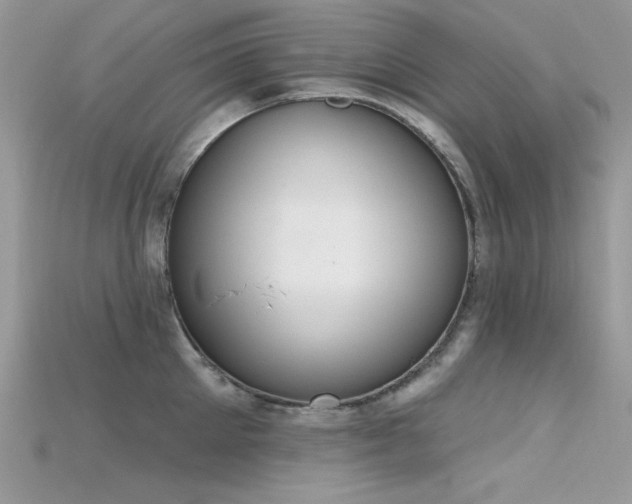 X0000115710905200911121423