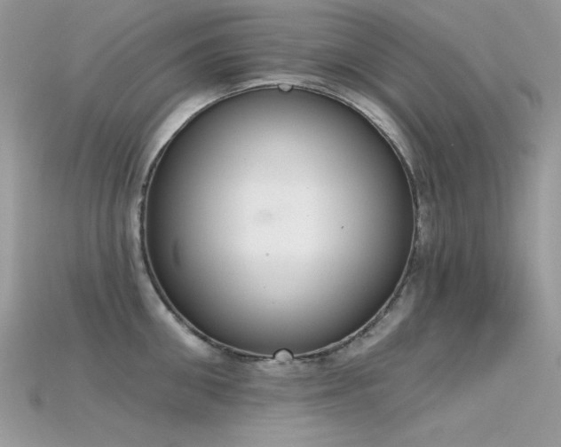 X0000115710906200911121423