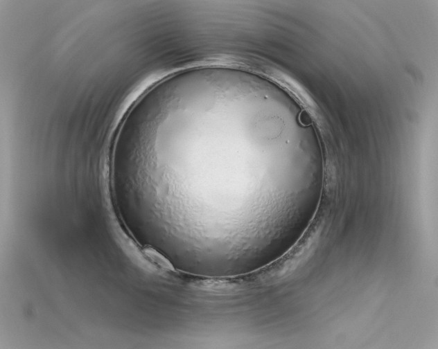 X0000115710907200911121423