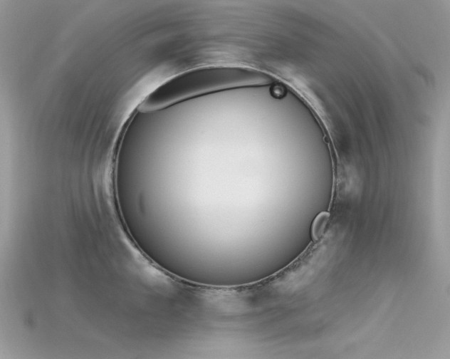 X0000115710909200911121423