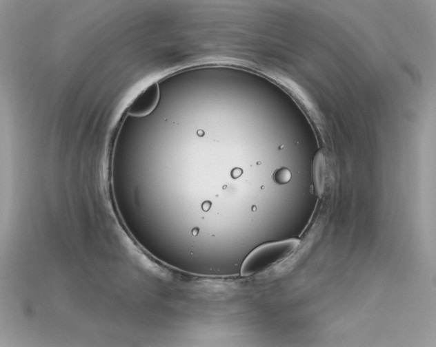 X0000115710910200911121423