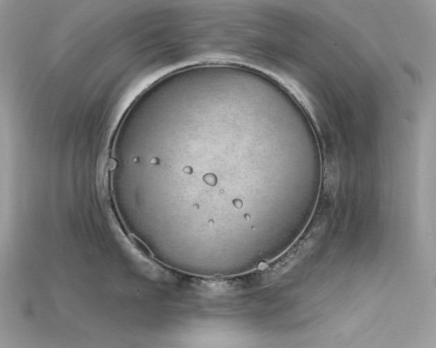 X0000115710911200911121423