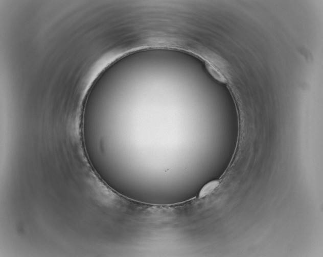 X0000115710912200911121423