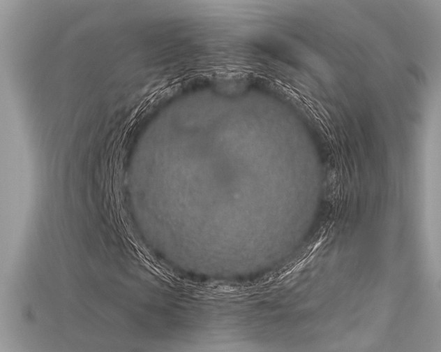 X0000115710913200911121422