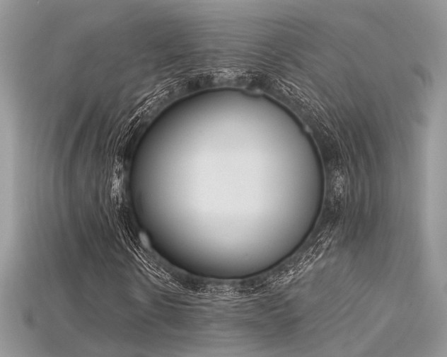 X0000115710914200911121422