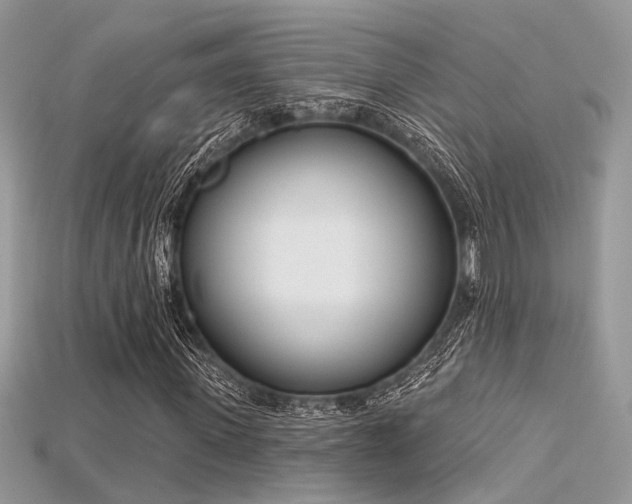 X0000115710915200911121422