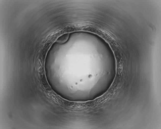 X0000115710917200911121422