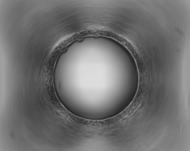 X0000115710919200911121422