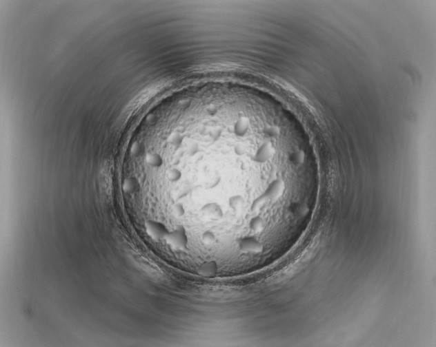 X0000115710921200911121422