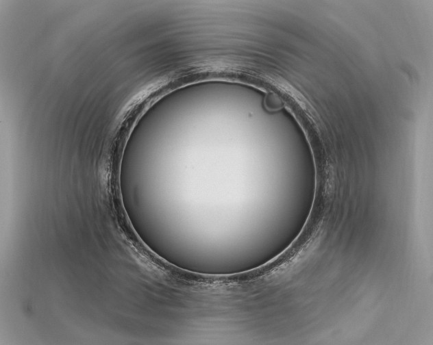 X0000115710922200911121422