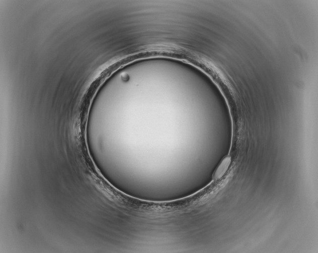 X0000115710923200911121422