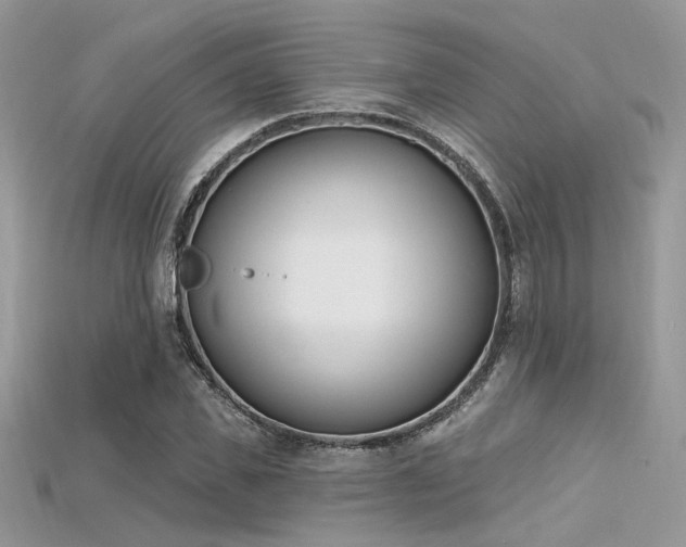 X0000115710925200911121422