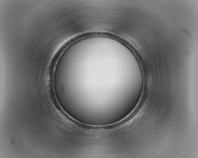 X0000115710926200911121422