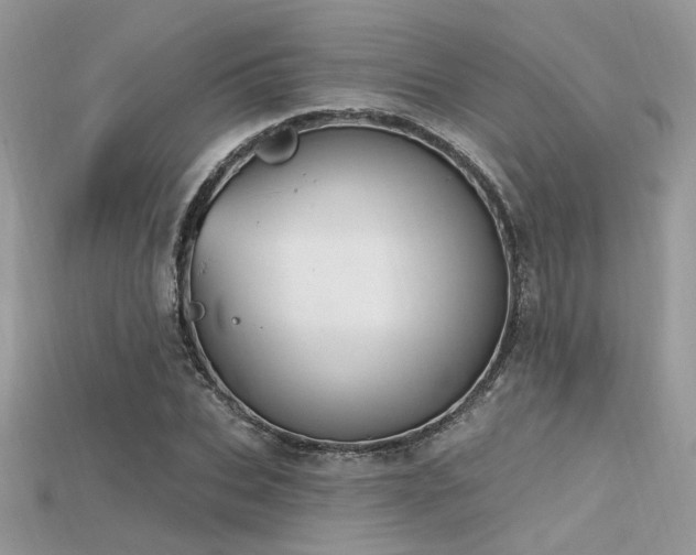 X0000115710927200911121422