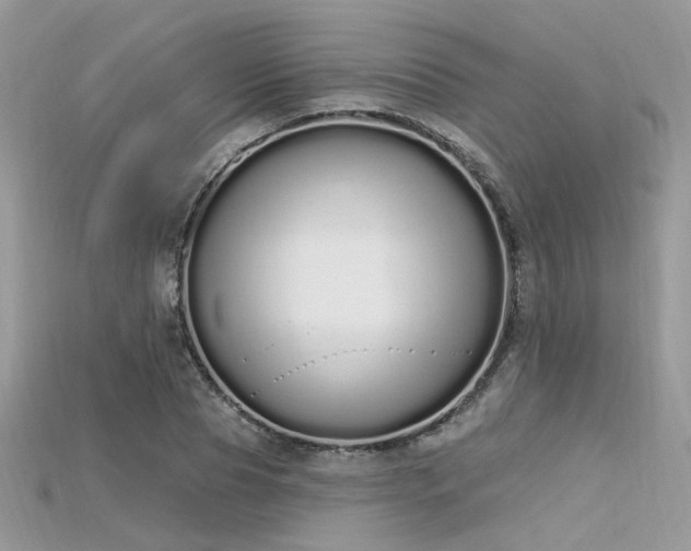 X0000115710929200911121422