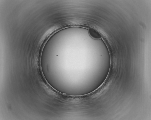 X0000115710930200911121422