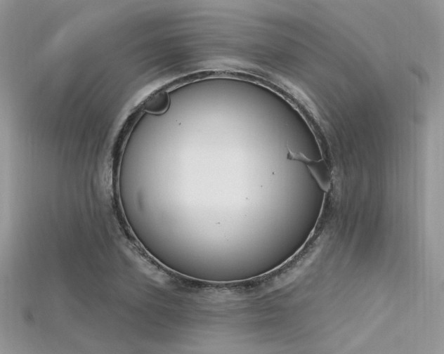 X0000115710931200911121422