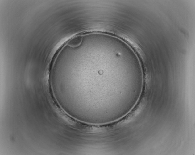 X0000115710933200911121422