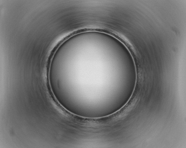 X0000115710935200911121422