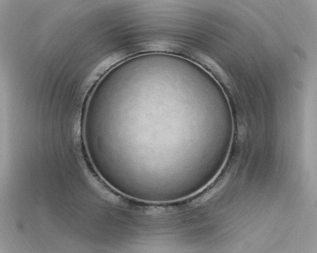 X0000115710938200911121422