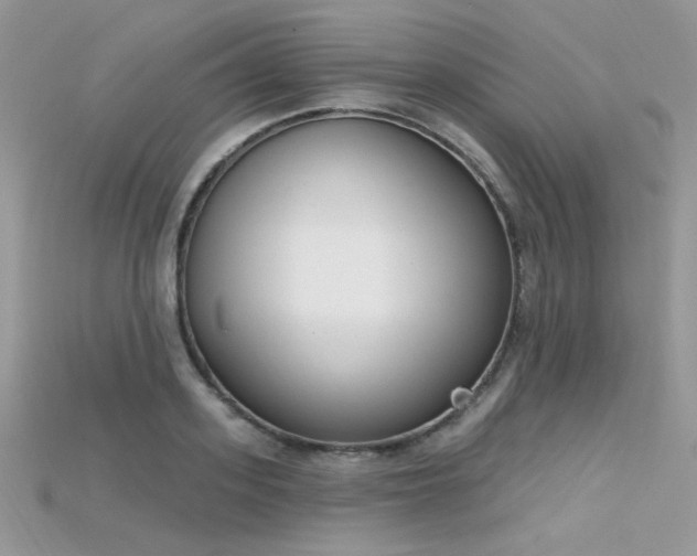 X0000115710939200911121422