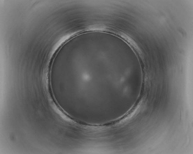 X0000115710941200911121422