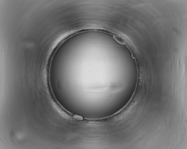 X0000115710942200911121422