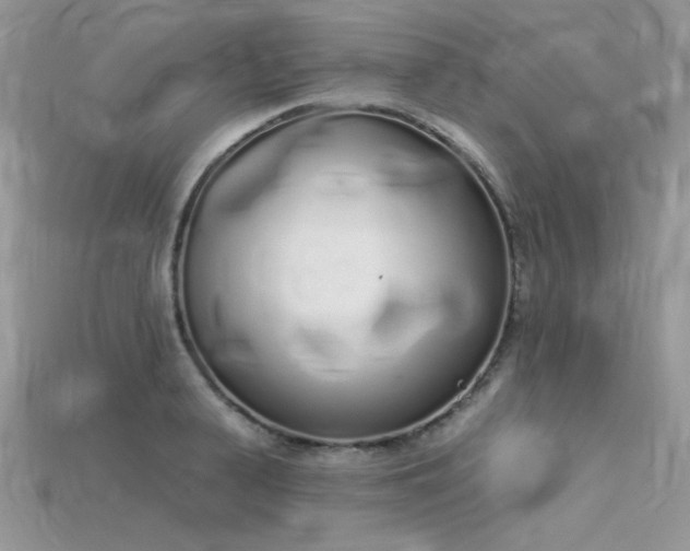 X0000115710943200911121422