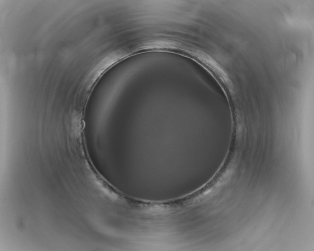 X0000115710945200911121422