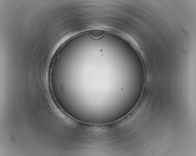 X0000115710947200911121422