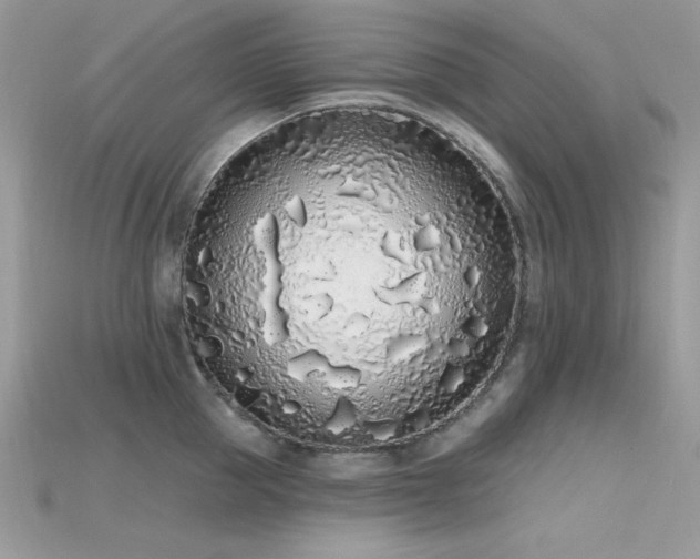 X0000115710953200911121423