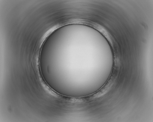 X0000115710954200911121423