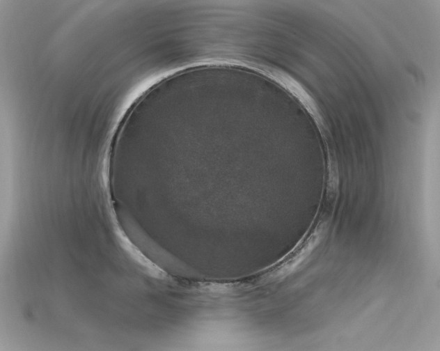 X0000115710958200911121423