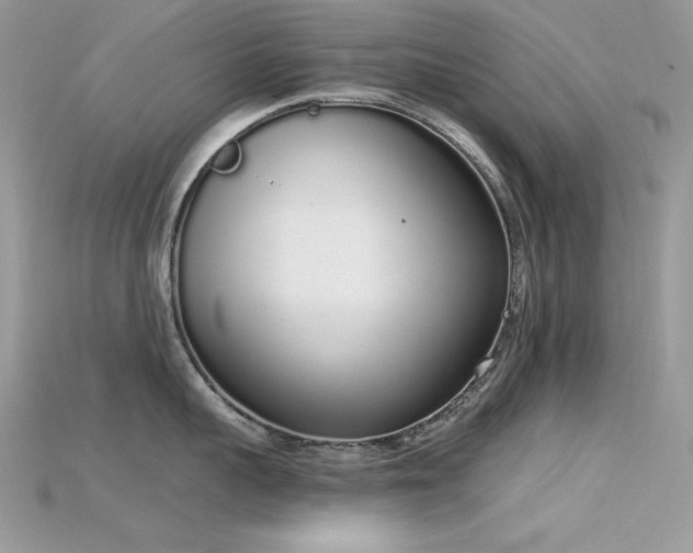 X0000115710959200911121423