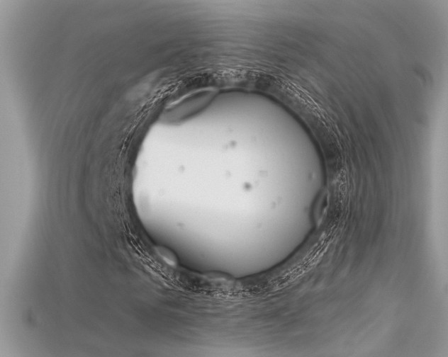 X0000115710961200911121422