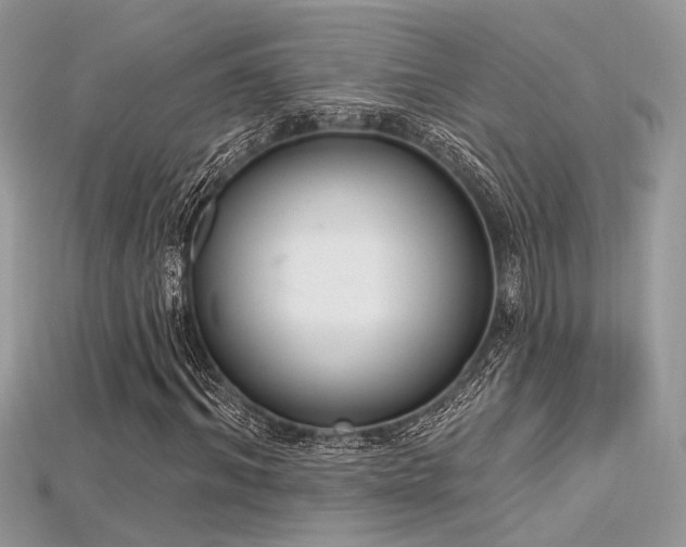 X0000115710964200911121422