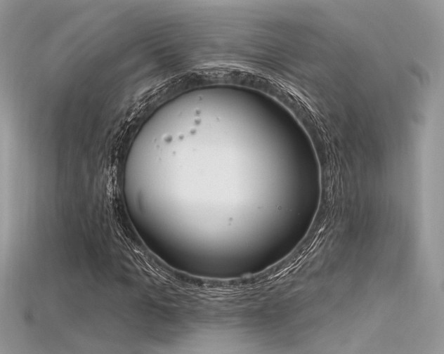 X0000115710965200911121422