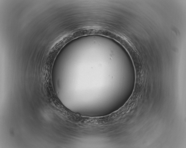 X0000115710967200911121422