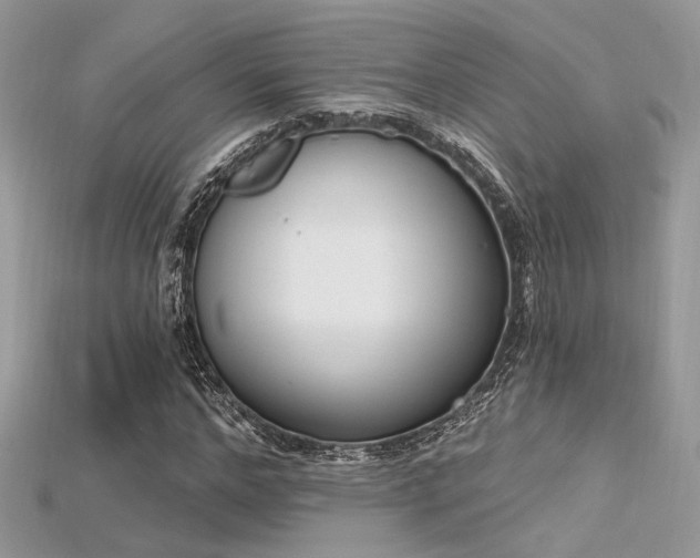 X0000115710968200911121422