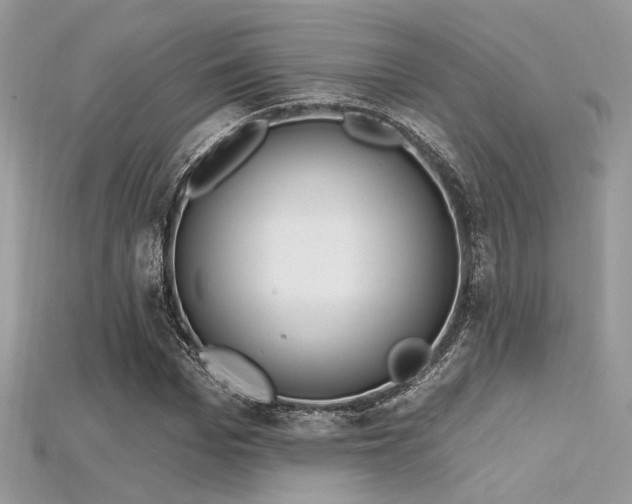 X0000115710969200911121422