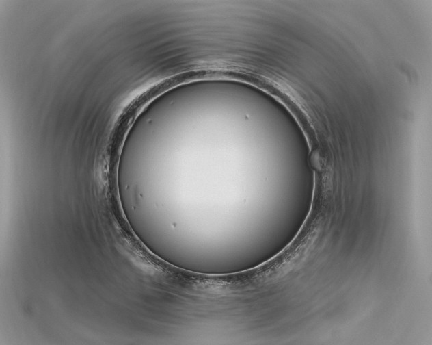 X0000115710971200911121422