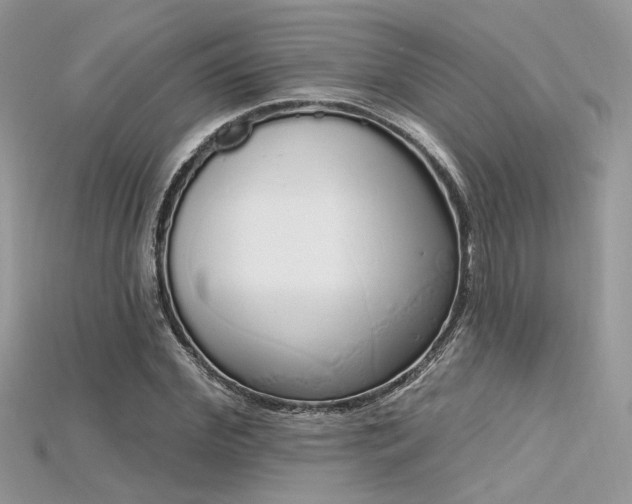 X0000115710972200911121422