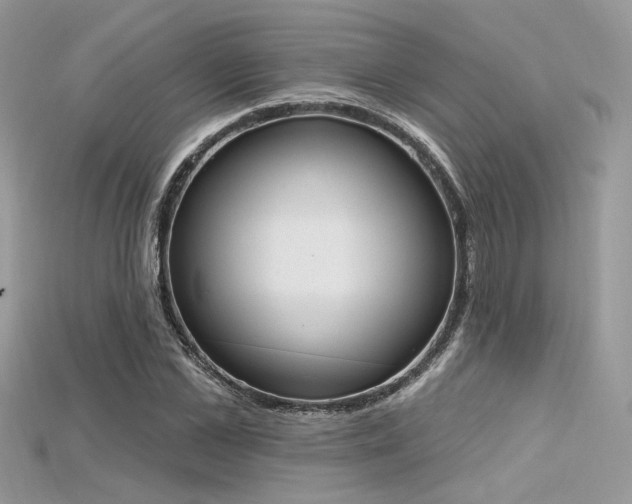 X0000115710973200911121422