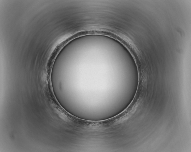 X0000115710974200911121422