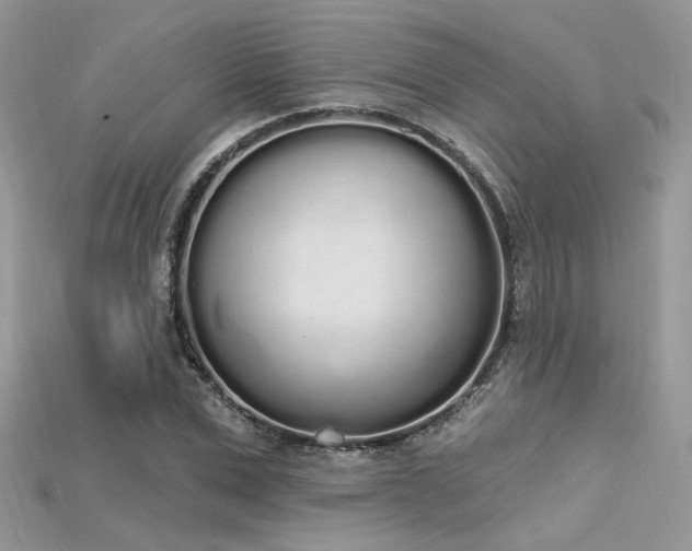 X0000115710975200911121422