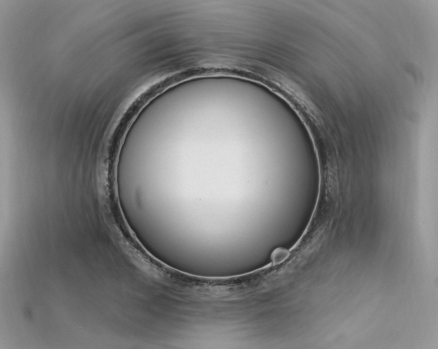 X0000115710976200911121422