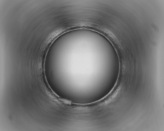 X0000115710977200911121422